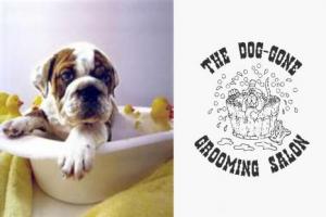 FREE DEAL!  Get 50% off Dog Grooming Services at The Dog-Gone Grooming Salon in Maple Ridge